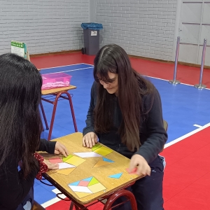 Día de las Matemáticas 2025